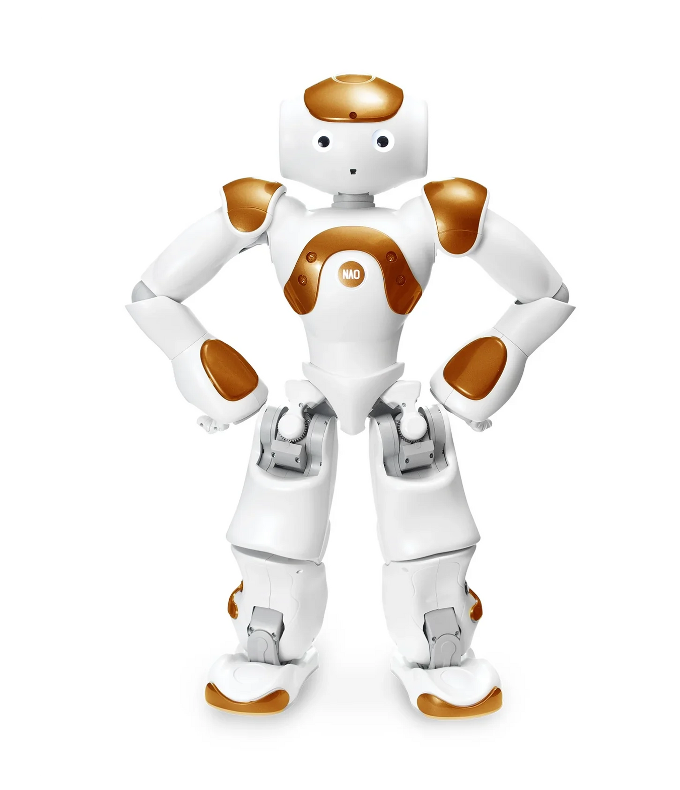 NAO - Humanoid AI