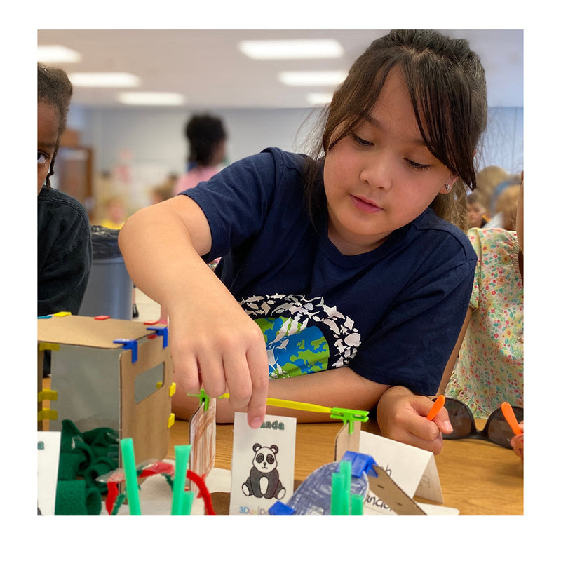 Design-a-Zoo STEM Bundle